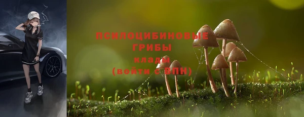 прущие крисы Заволжье