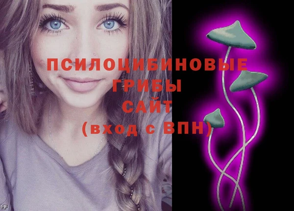 ALPHA-PVP Ельня